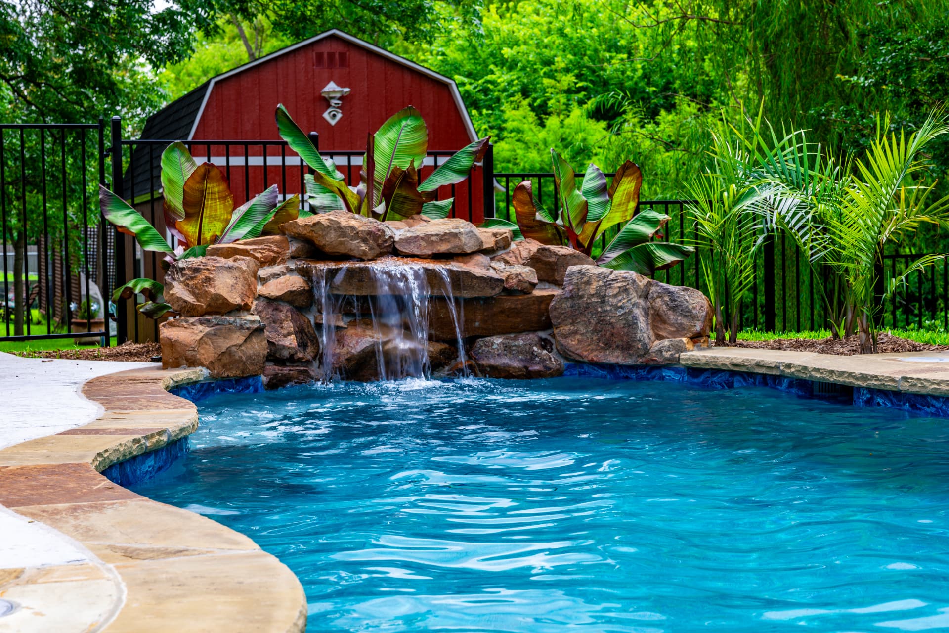 Freeform with boulder waterfall and tropical landscaping